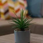 Park Siska Apartmán Lublaň