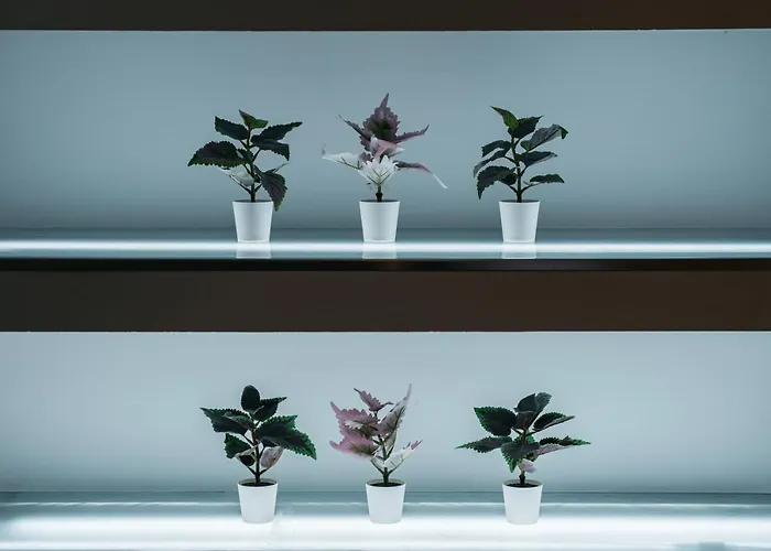 Διαμέρισμα Park Siska *